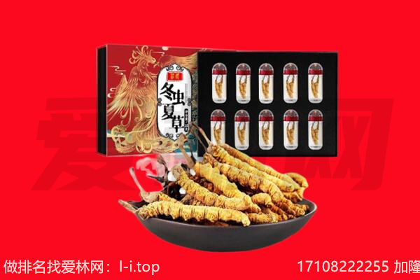 六盘水市回收虫草.jpg